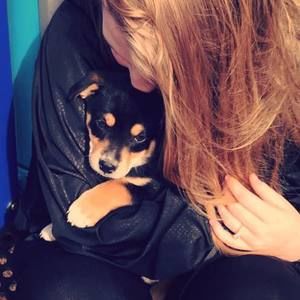 Meet your Posher, Kylee